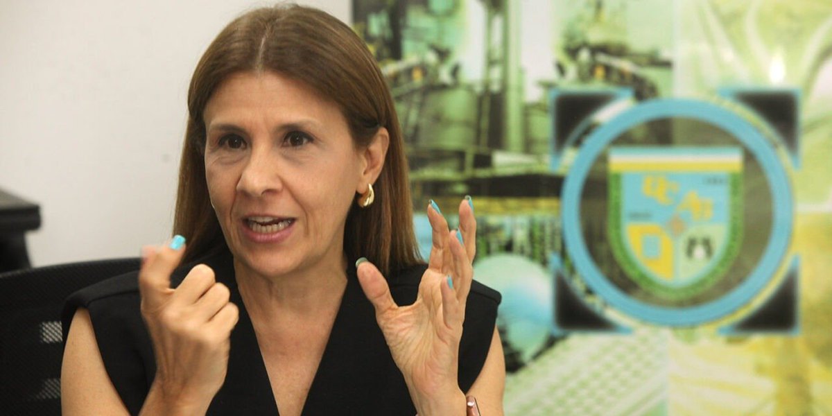 Celia Herrera: «El #CIDI UCAB va a interactuar más con el sector productivo y la sociedad civil»

La nueva directora del Centro de Investigación y Desarrollo de Ingeniería es experta en vialidad, tránsito, planificación urbana y movilidad sostenible.

➡️goo.su/g3jtJW5