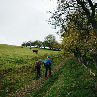 Swap the booze for boots this dry January 🥾

Hike the 15.5-mile (25km) Glyndwr’s Way from Felindre to Abbeycwmhir and enjoy breathtaking landscapes. 🌄

Find out more 👉 loom.ly/EuBJWUU