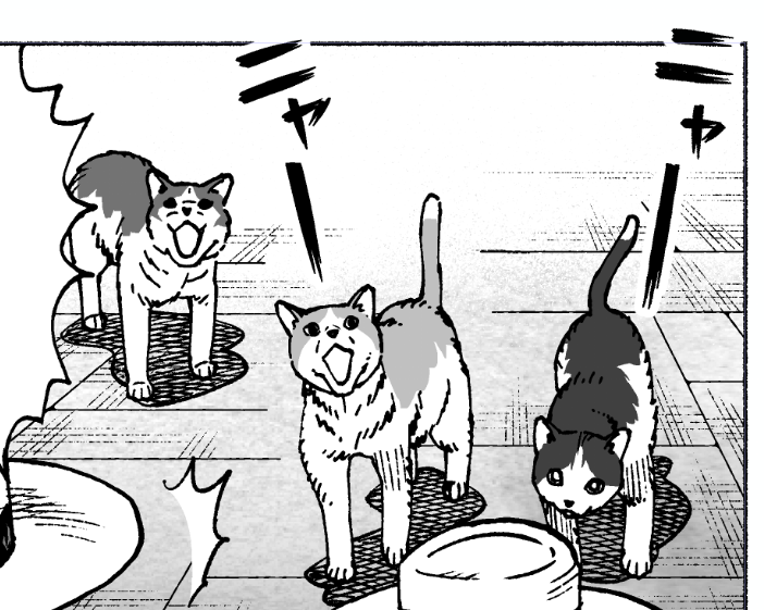 アンケありがとうございます!
ハチワレが多かったので思い切ってトーン違いハチワレ三人組にしましたー!
ご協力感謝です! 