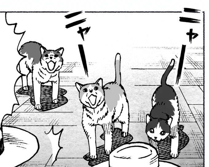アンケありがとうございます!
ハチワレが多かったので思い切ってトーン違いハチワレ三人組にしましたー!
ご協力感謝です! 