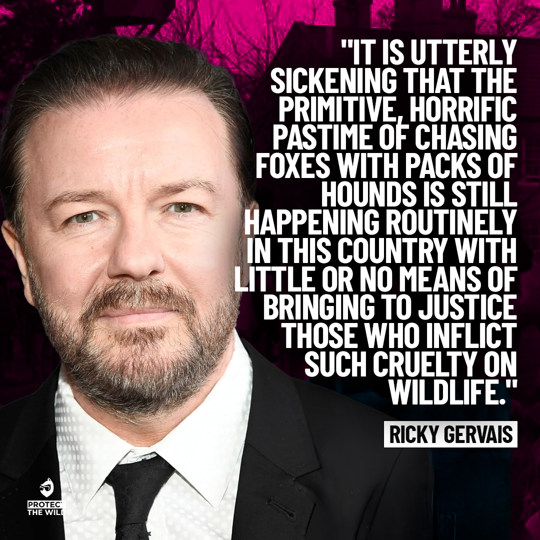 Ricky Gervais is absolutely spot on 👇