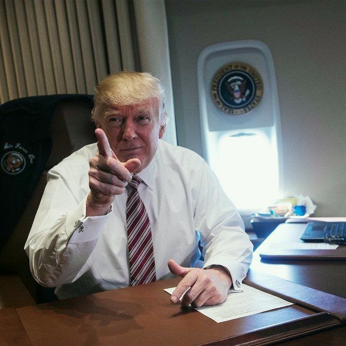 Elephant Signal 🐘🇺🇸 tweet media