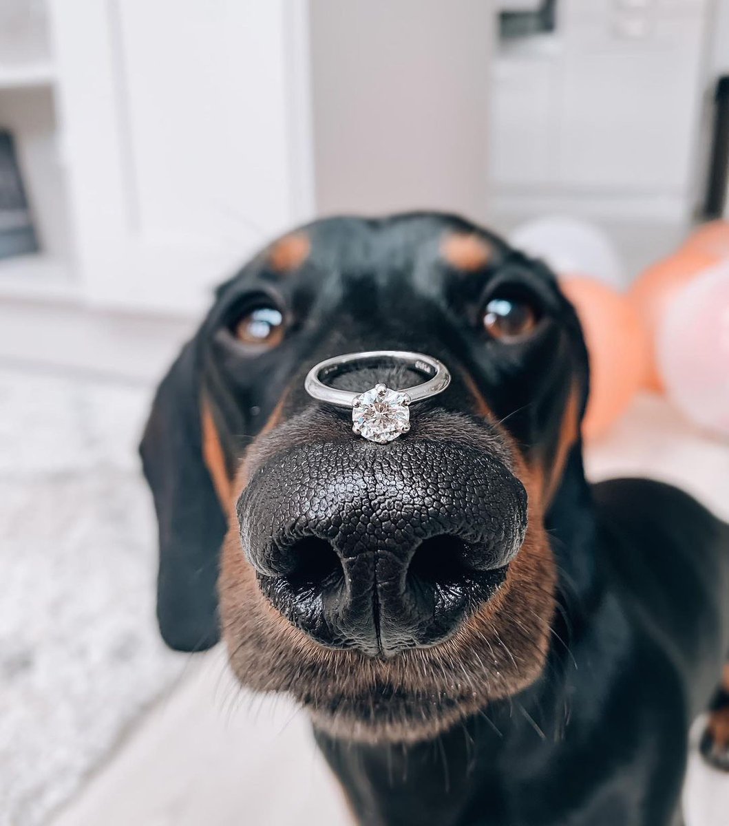 Só aceito se for assim