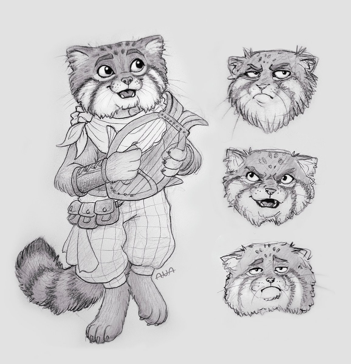In our upcoming  DnD campaign my friend is playing a Pallas's cat tabaxi bard. Because of course he is. 🥲 #DnD