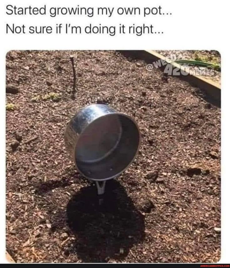 i like food (@messedupfoods) on Twitter photo 