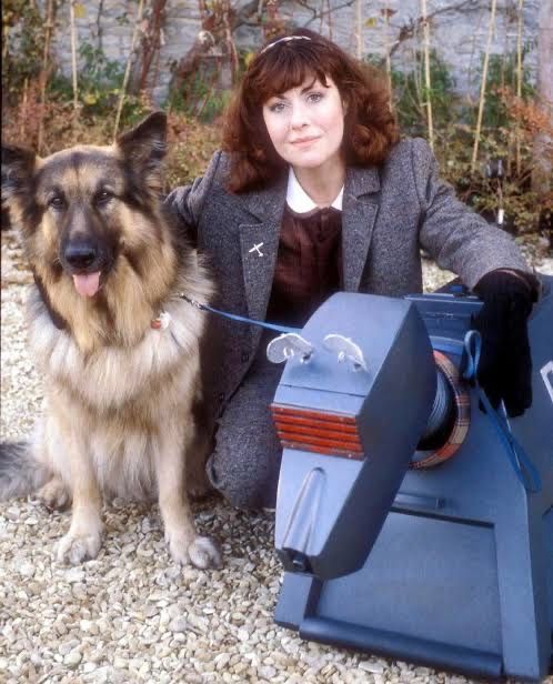 The Review of Death: A Doctor Who Podcast tweet media