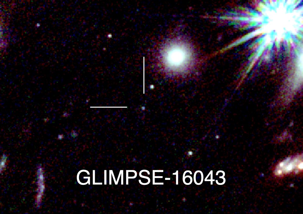 Seiji Fujimoto tweet media