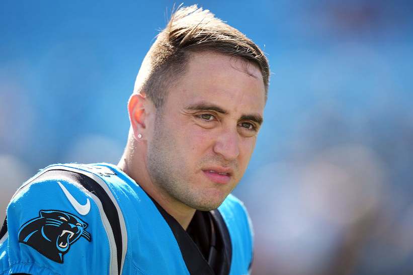 Cat Crave tweet media