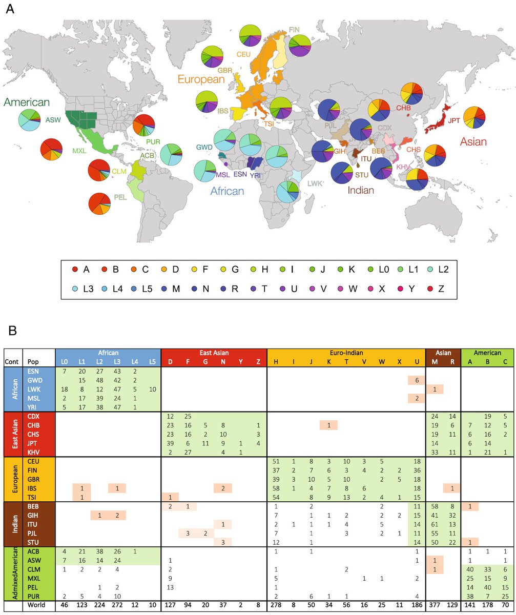 sam_soete's tweet image. Your mitochondrial lineage is regional specific. If you move to live somewhere else, you have to know what that means for your health and adjust accordingly