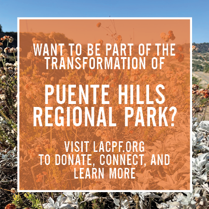 LACPF is dedicated to enhancing people’s lives by making our public parks, trails, and green spaces better through innovative programming, advocacy, financial support, and volunteerism.

Learn more about the Parks Foundation and how you can contribute!

#PHLP #LACountyParks