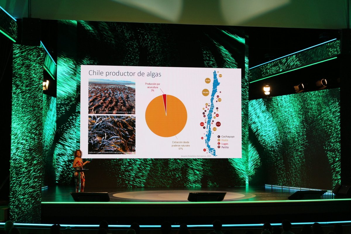 Núcleo Milenio MASH tweet media