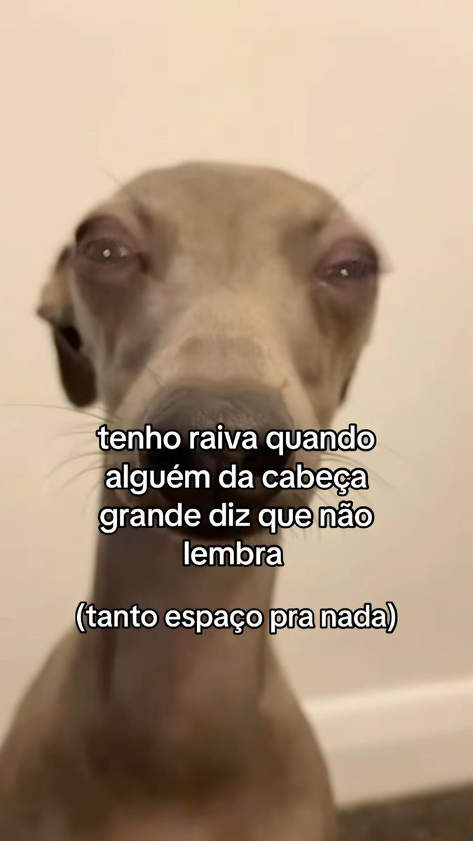 itimaliasof's tweet image. 