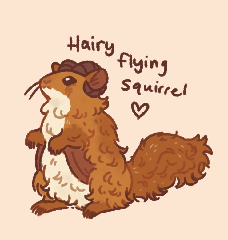 Bristle suggested the concept of a highland cow-type flying squirrel in our world of creatures, and I just had to oblige!