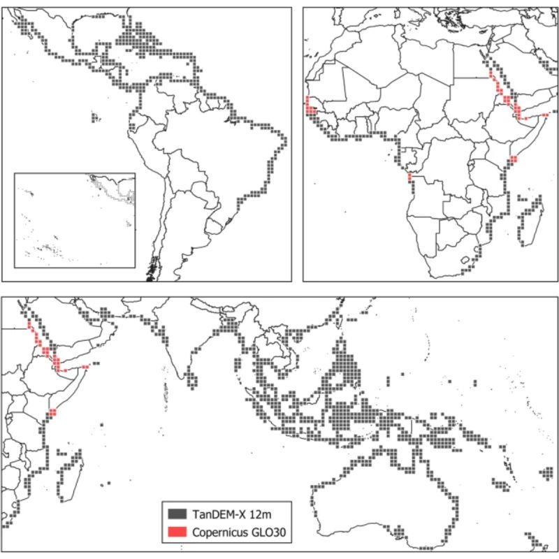 UN Biodiversity (@unbiodiversity) on Twitter photo ❗️Did you know the tallest mangrove trees reach nearly 60 meters in Colombia and Gabon?
A new global map, using Lidar data, shows detailed mangrove canopy heights to support blue carbon, conservation, and climate efforts.
Read more➡️lnkd.in/dBSzpPKx
via <a href="/MangroveProject/">Mangrove Action Project</a> ❗️Did you know the tallest mangrove trees reach nearly 60 meters in Colombia and Gabon?
A new global map, using Lidar data, shows detailed mangrove canopy heights to support blue carbon, conservation, and climate efforts.
Read more➡️lnkd.in/dBSzpPKx
via <a href="/MangroveProject/">Mangrove Action Project</a>
