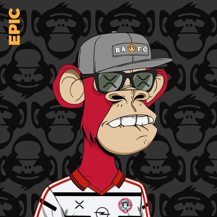 Bored Ape Football Club tweet media