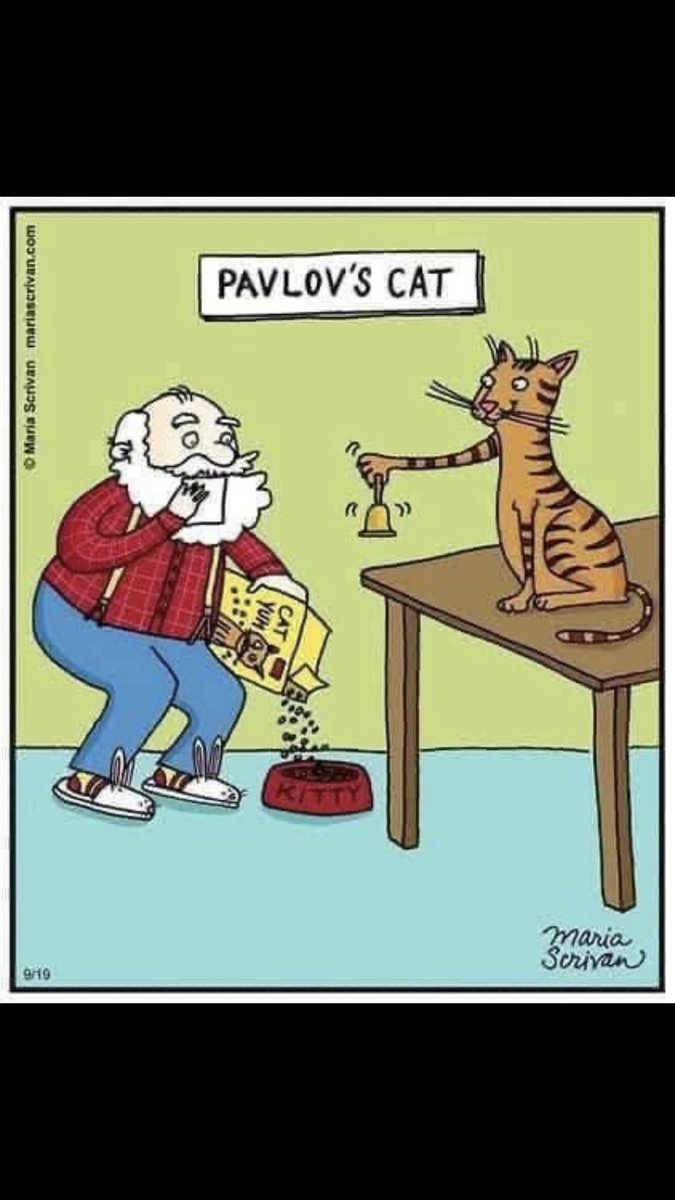 Centerfield6Ray's tweet image. “Ring a ling a ling!”