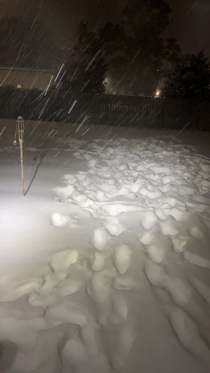 Bowlahhh's tweet photo. We shattered the Florida state record set in 1954 of 4 inches of snow yesterday. We had 9.8 inches in less than 24 hours. Absolutely insane. Never thought I’d be able to have a snow day like this with the kids living here! https://t.co/rp1NKC4L2i