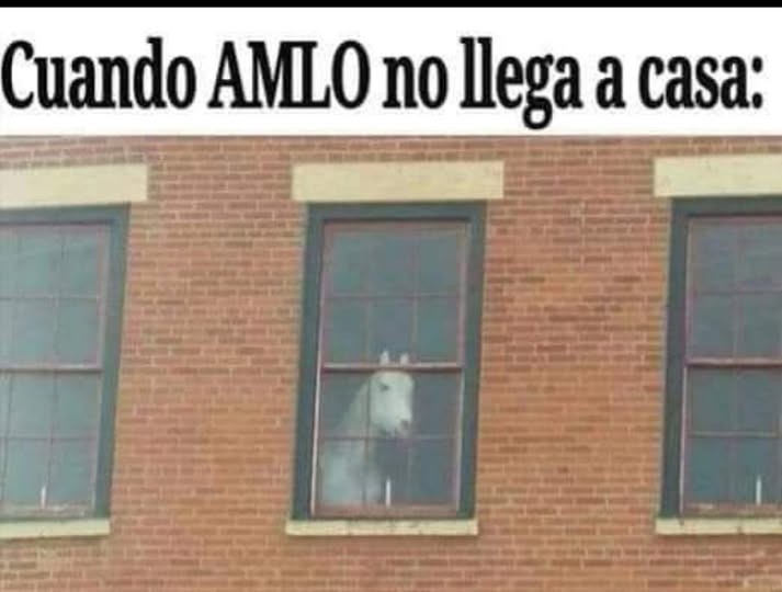 GARCIPAVON's tweet photo. Acaban de descubrir dónde se esconde el vjt ojt y con quién 😵‍💫 https://t.co/t4rLJS8aI3