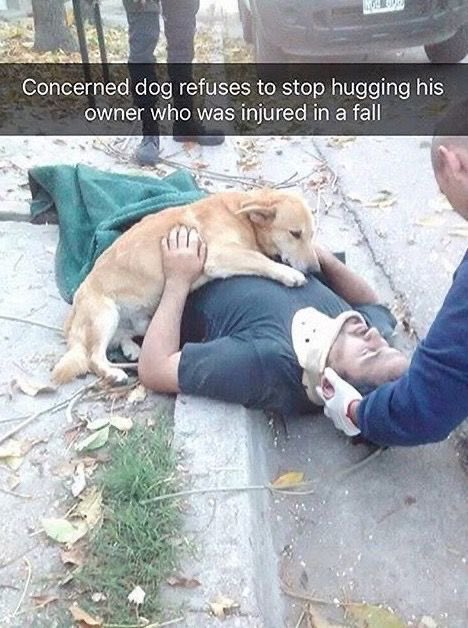 twaniimals's tweet photo. https://t.co/nHWwTMVQPP
