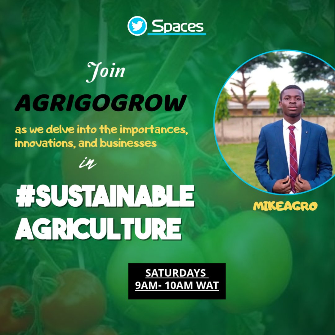 MikeAgrow's tweet photo. Join us this weekend for Agrigogrow Twitter Spaces!
Dive into sustainable agriculture, explore innovative ideas &amp; discover business opportunities in the sector.

Every weekend | 9 AM - 10 AM WAT 
Be part of #SustainableFuture !

#Agrigogrow #SustainableAgriculture
#MikeAgro https://t.co/UDINjOmPw1