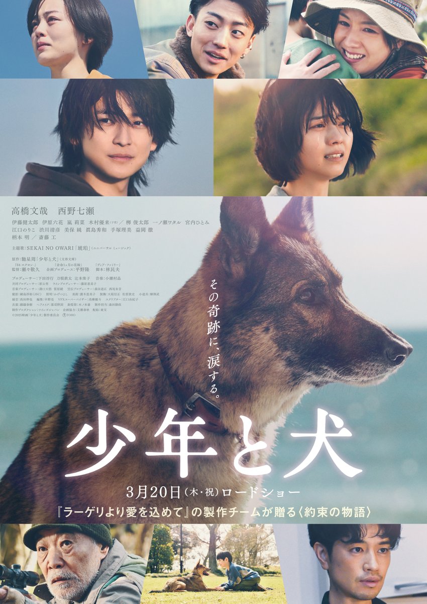 shonentoinu_mv's tweet photo. ┊映画『#少年と犬』┊

　𓂃◌𓈒𓐍

　その奇跡に、涙する。

 　　　　　　　　　𓂃◌𓈒𓐍

それぞれの想いが交錯する表情に加え、
〖多聞〗が長い旅路に向かう決意の姿が感じられる
本ポスタービジュアルを解禁✧

#映画少年と犬
🎬𝟯月𝟮𝟬日(木・祝)公開
#高橋文哉 #西野七瀬
監督 #瀬々敬久 https://t.co/Pw7k12tiJG