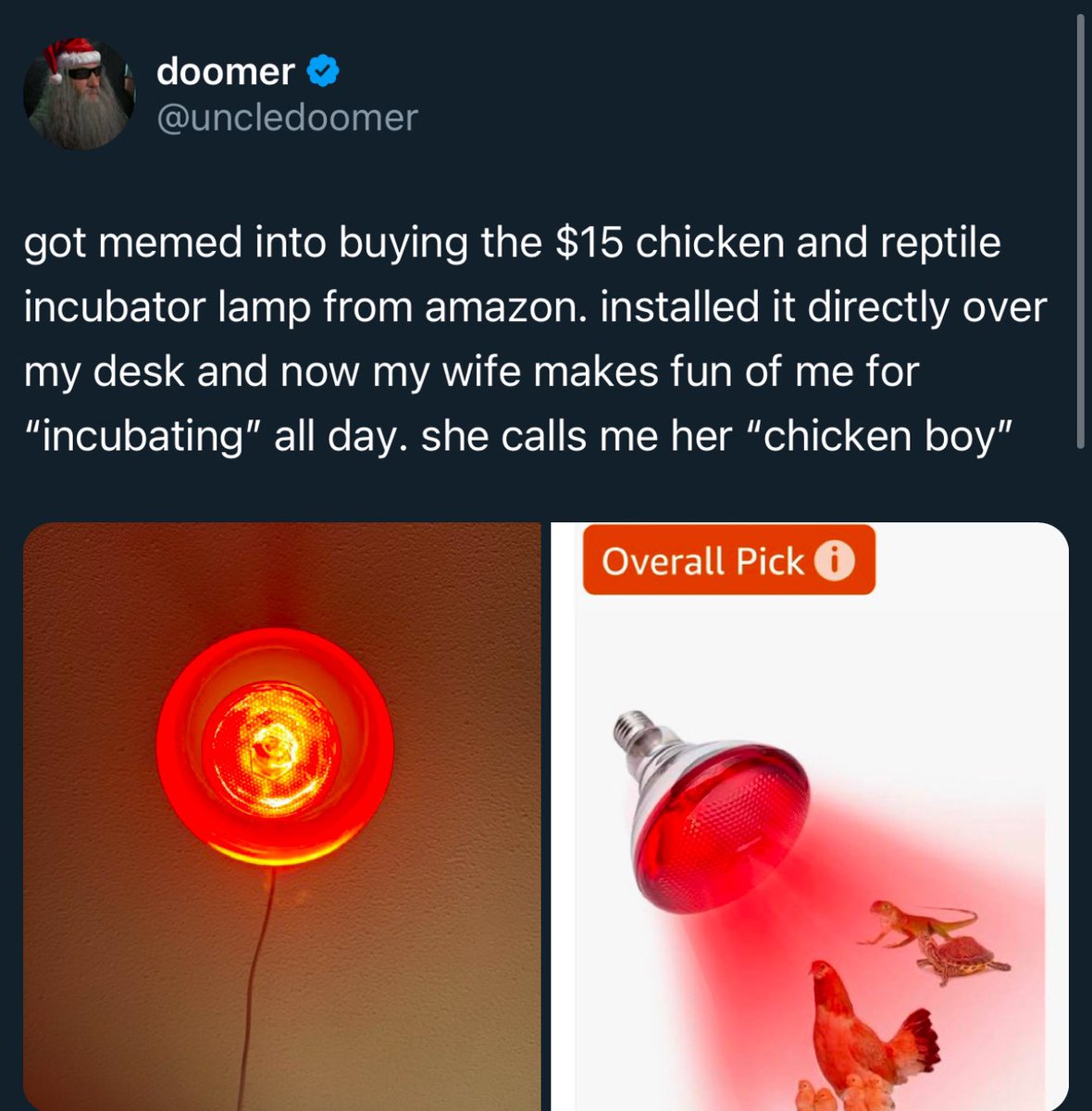 uncledoomer's tweet photo. you need to be drinking the horse electrolytes. you need to be eating the gorilla chow. you need to be taking the horse dewormer. you need to be sitting under the chicken lamp. you need to escape from the processed human slop and embrace the virility of the wild beast. https://t.co/1b8i2t3k8C