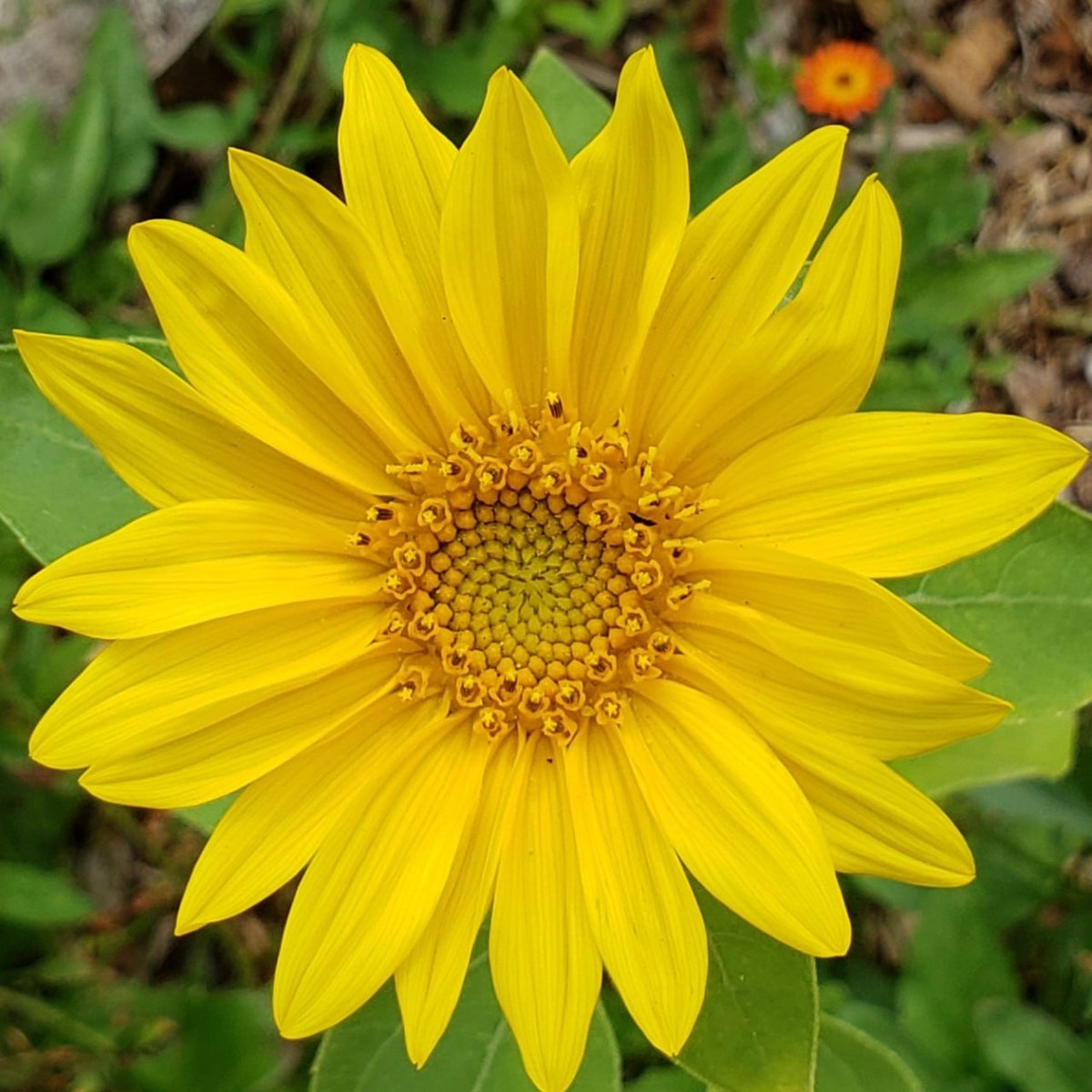 ✨Relax the tension between your brows and BREATHE.
Your mental health matters.💖