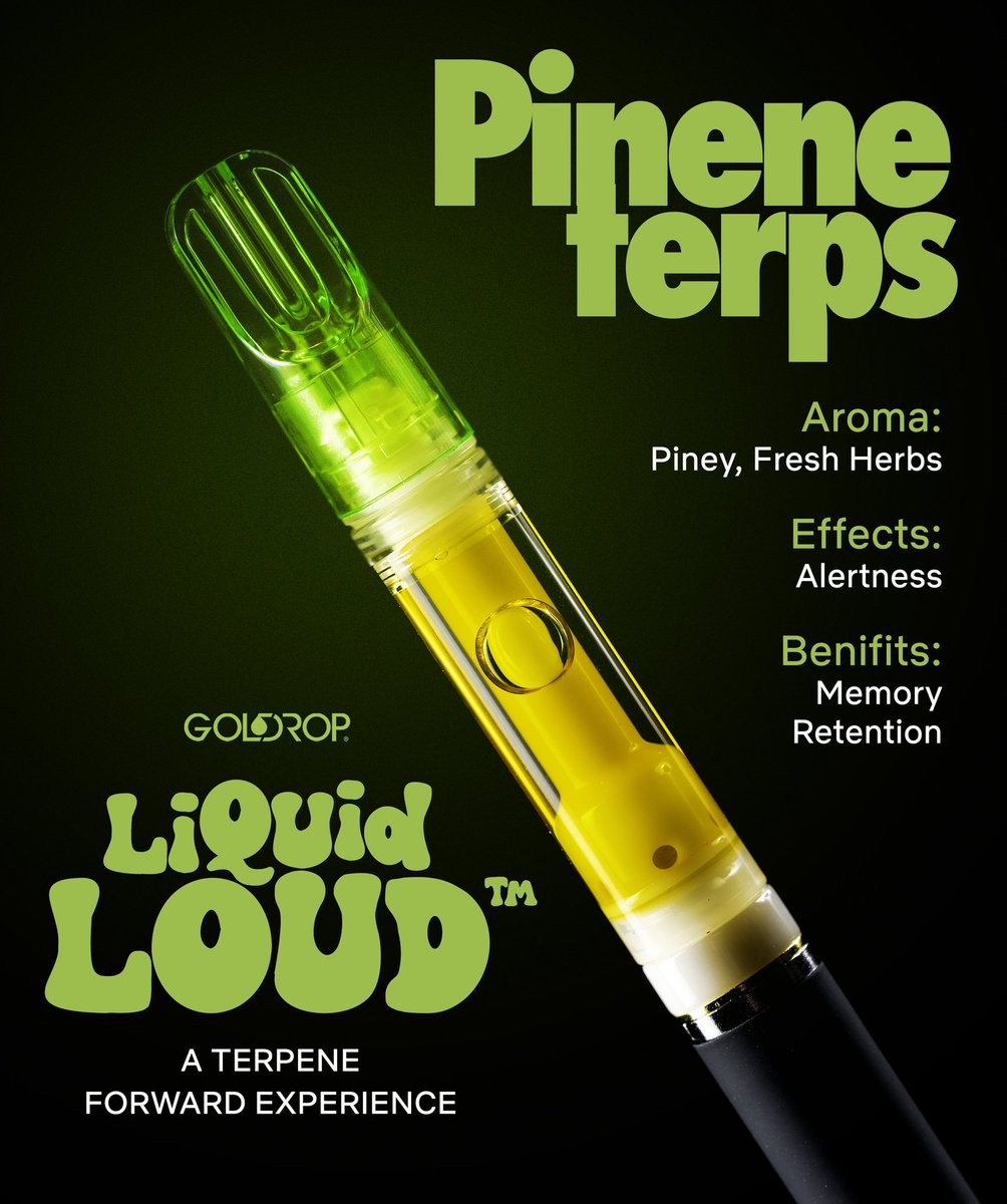 golddropca's tweet image. FRESH TERPS, FRESH VIBES 🌿💨 

Pinene leads the way with alertness, focus, and a clean, herbal kick. Your terpene-forward experience just leveled up. Are you ready to tap into #GoldDropCo’s Liquid Loud?