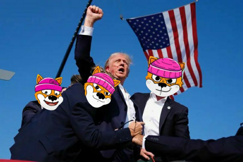 Believe in the vision, Believe in #shibwifhat