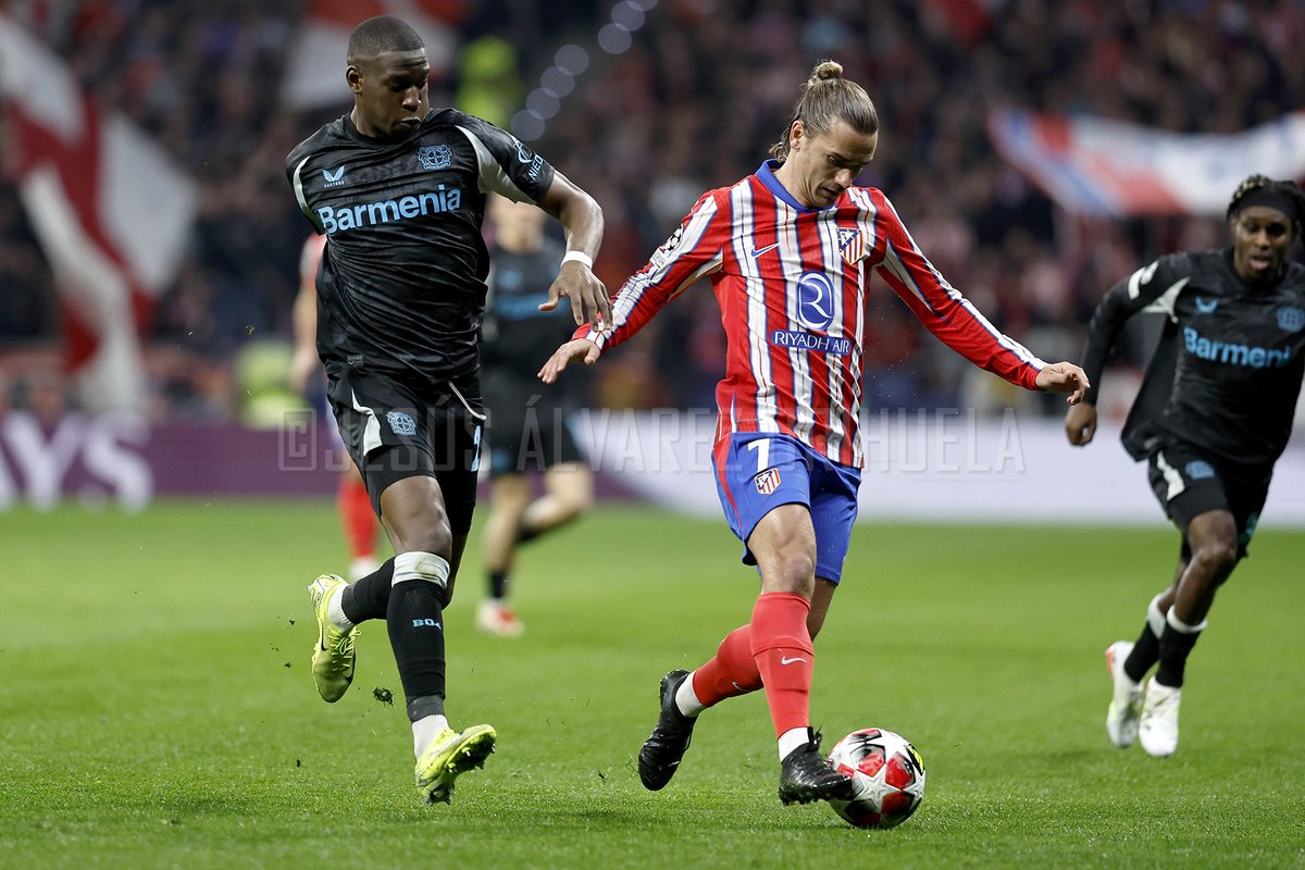 AsFoto_Orihuela's tweet photo. La noche de la araña 📷 #UCL #AtletiB04
・
・
・
#AúpaAtleti #Atleti #GoAtleti #b04svw #Bayer04 #werkselffans #werkself #Metropolitano #ChampionsLeague #sportphotography #sports #football #soccer #fotografíadeportiva #deportes #fútbol #calcio #futebol #Canon #DiarioAS https://t.co/A8PhBF4nWD
