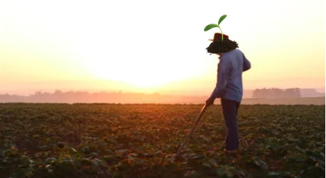 DancingPlantSOL's tweet photo. Good morning to those who believe. The sprout sees you. $DPL https://t.co/4fngI71DLW