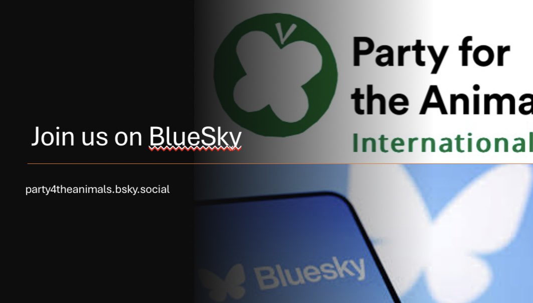 Animal Politics Foundation - Party for the Animals tweet media