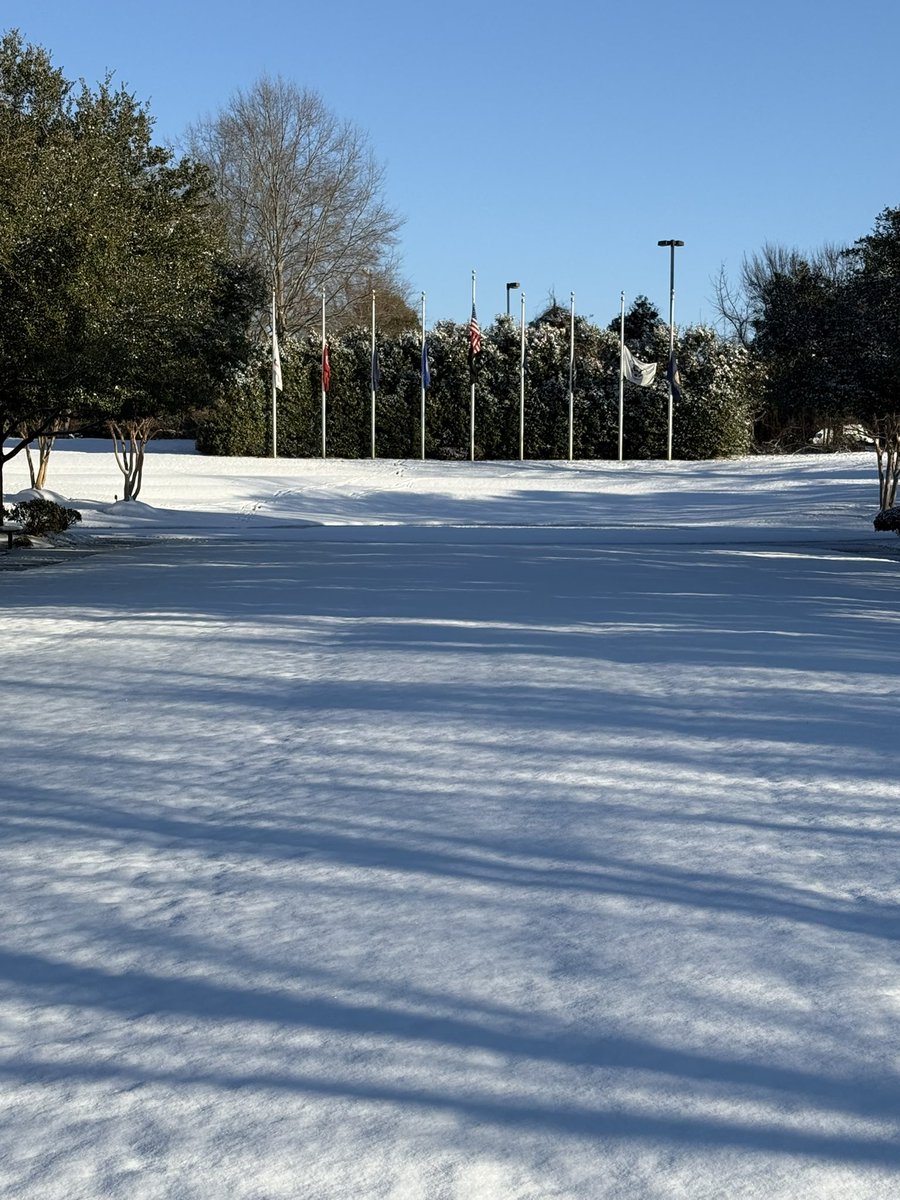 owrightpro1's tweet photo. Some views of the snow in Florence. Thanks for the weather heads up @EdPiotrowski ! Stay warm y’all! https://t.co/gQSFnloKgU