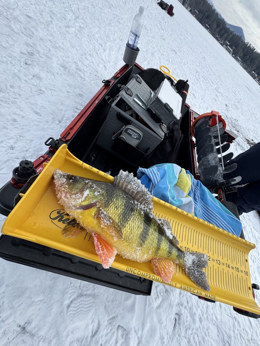 Michael Blatt added removable skis to his ice fishing sled using Ketch Products Krossbars and Risers. He also put some nice panfish on our Ketch Karbonate 16" board. Great job Mike!