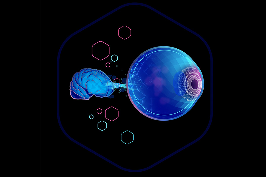 CMU Mellon College of Science (@cmuscience) on Twitter photo .<a href="/huailang/">Yongxin(Leon) Zhao</a> will use Magnify Expansion Microscopy to map optic nerve fibers as part of a collaboration to make whole eye transplants a reality.
cmu.edu/mcs/news-event⦠.<a href="/huailang/">Yongxin(Leon) Zhao</a> will use Magnify Expansion Microscopy to map optic nerve fibers as part of a collaboration to make whole eye transplants a reality.
cmu.edu/mcs/news-eventā¦