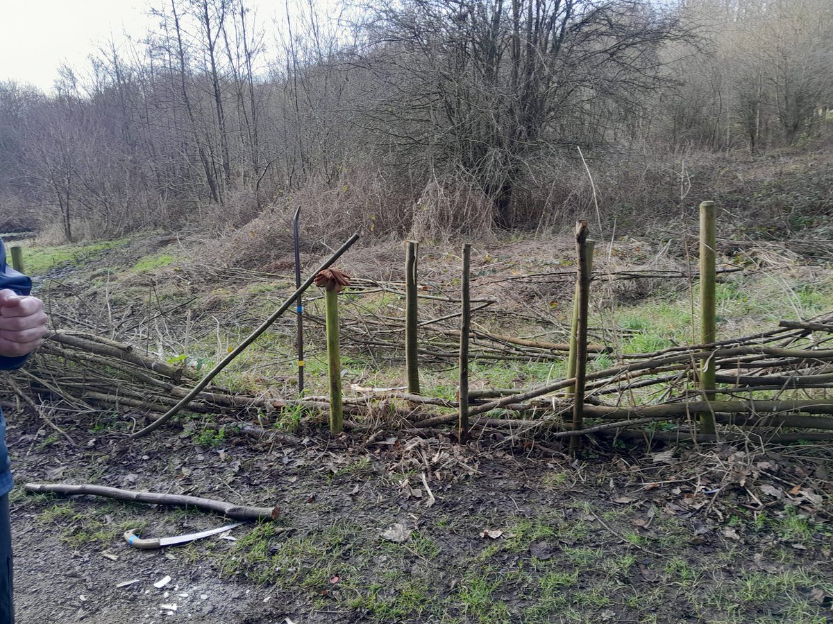 Our wonderful volunteers did a great job fixing the dead hedge at the Stryt Las nature reserve last week. Check out the before and after! 🤩