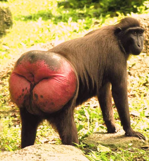 Así vas a quedar después de la consolidación fiscal que habla Odonne zurdo gil.