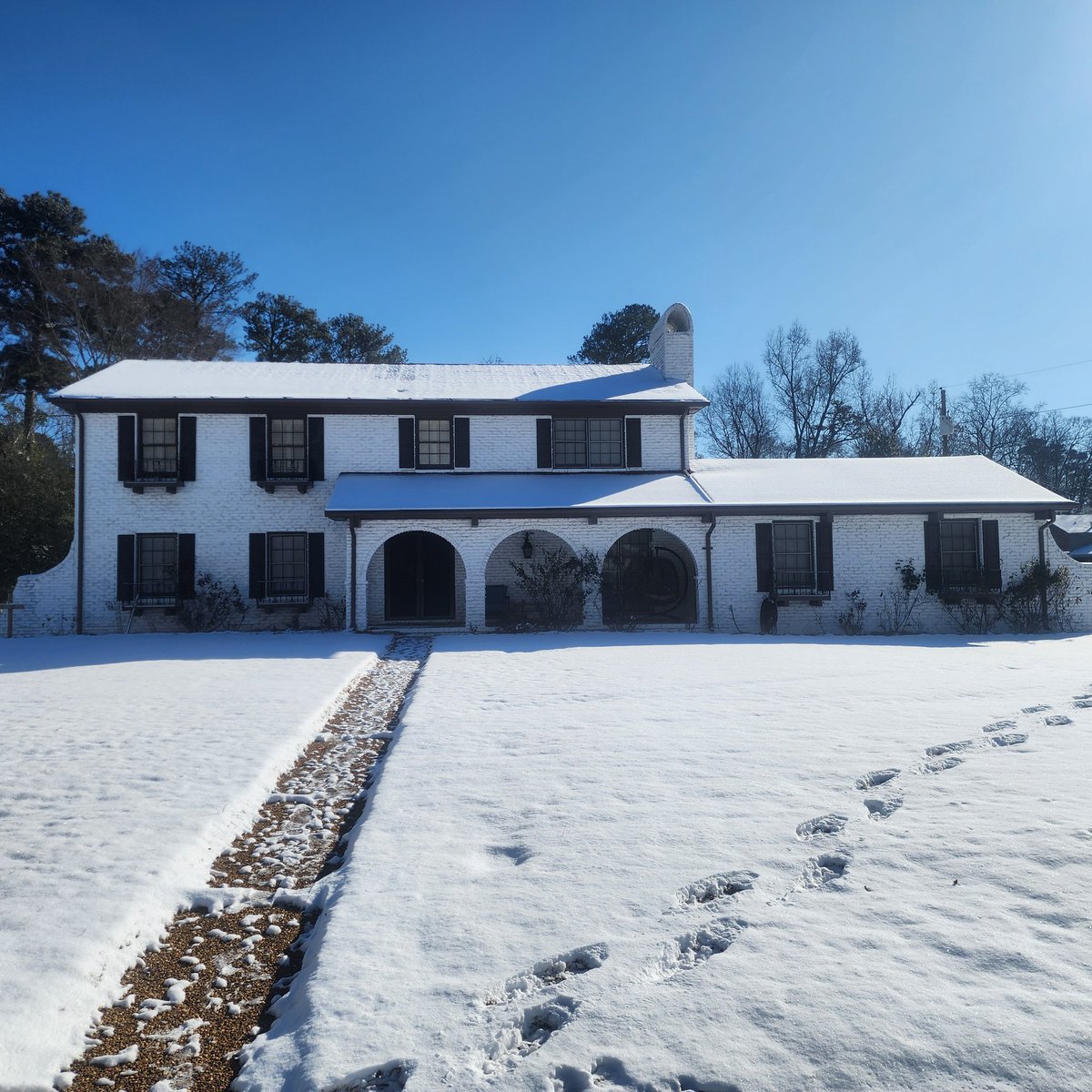 Woke up to see a yard full of cotton this morning.