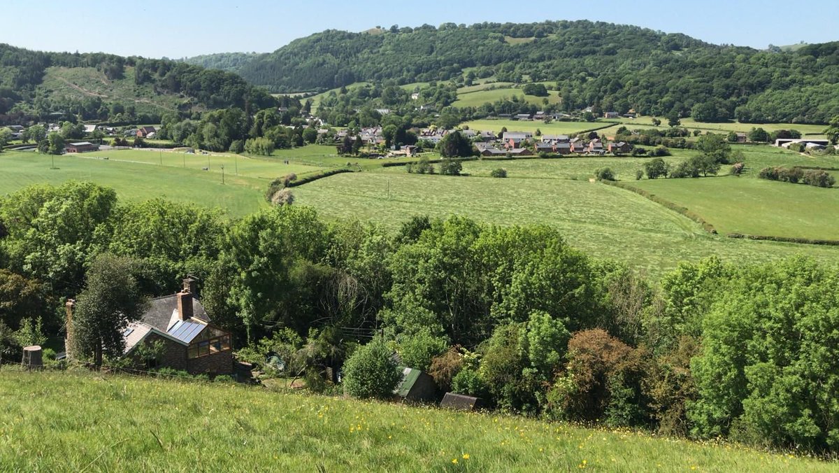 Myfanwy Alexander tweet media