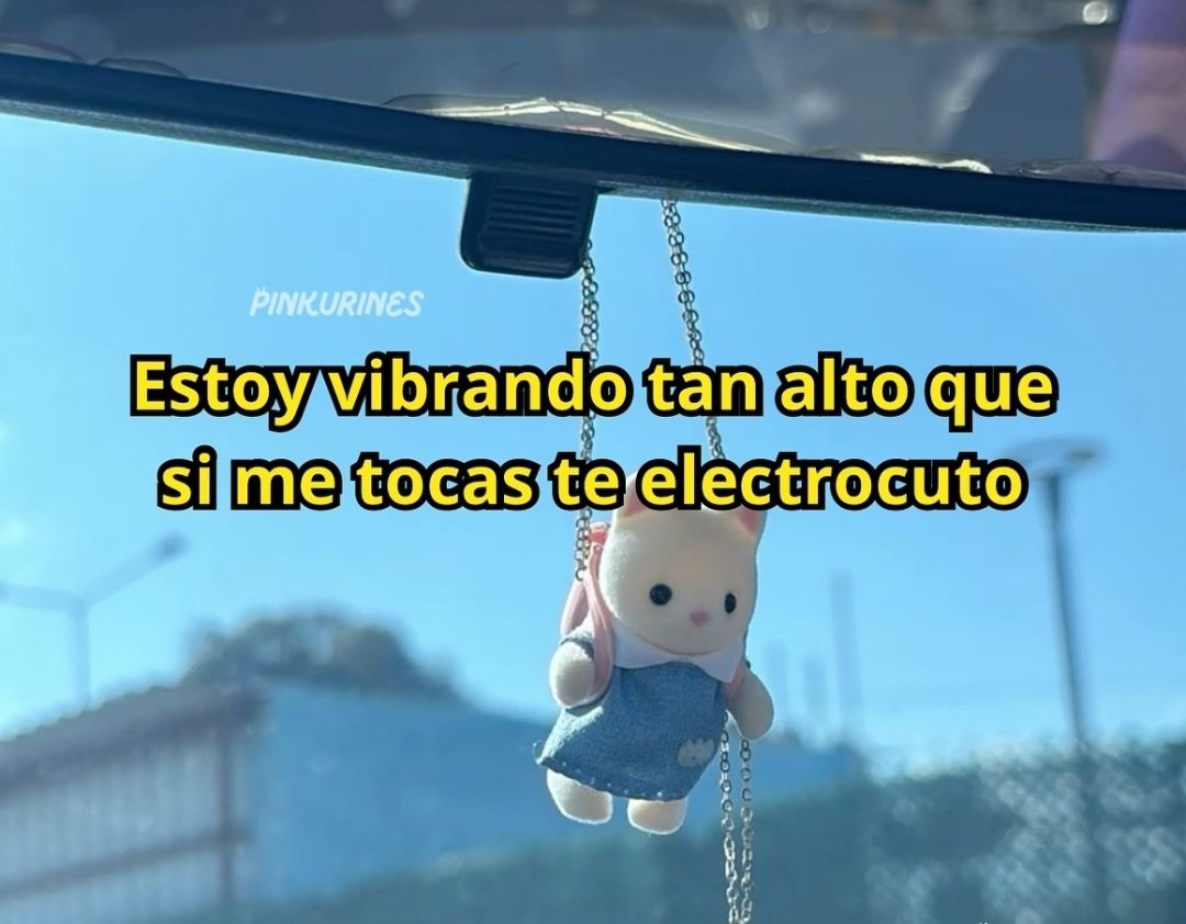 MiniAnimales's tweet photo. https://t.co/WYDJvDPbkL