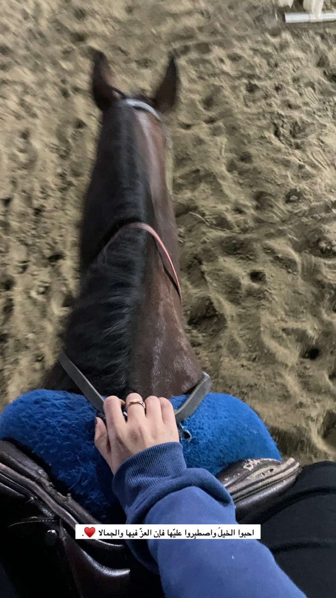 khalidamal1999's tweet photo. 🐎♥️ https://t.co/9sVqFqIwdt