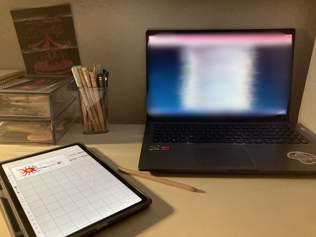 youseireii's tweet photo. – last two

#study #studytwt #studygram https://t.co/xxkxocvSzB