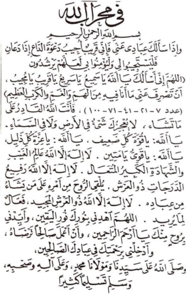 الشريف اسامه خليف tweet media