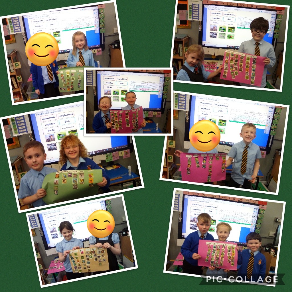 Hydra have worked collaboratively in Biology to sort images of animals into the different animal groups.