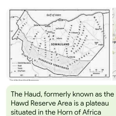 fayz_fayza's tweet photo. I totally agree!#Sallaxley,which has been severely neglected since '91,waa aan daaro aduunka that a historical important cities as Sallaxley,Saylac,Maydh,Xiis,iyo most of all #HaudReservedArea! has been thrown by the way side. The response that is ways given is DO IT YOURSELF🤦🏾‍♀️ https://t.co/sCV5QE7b6S