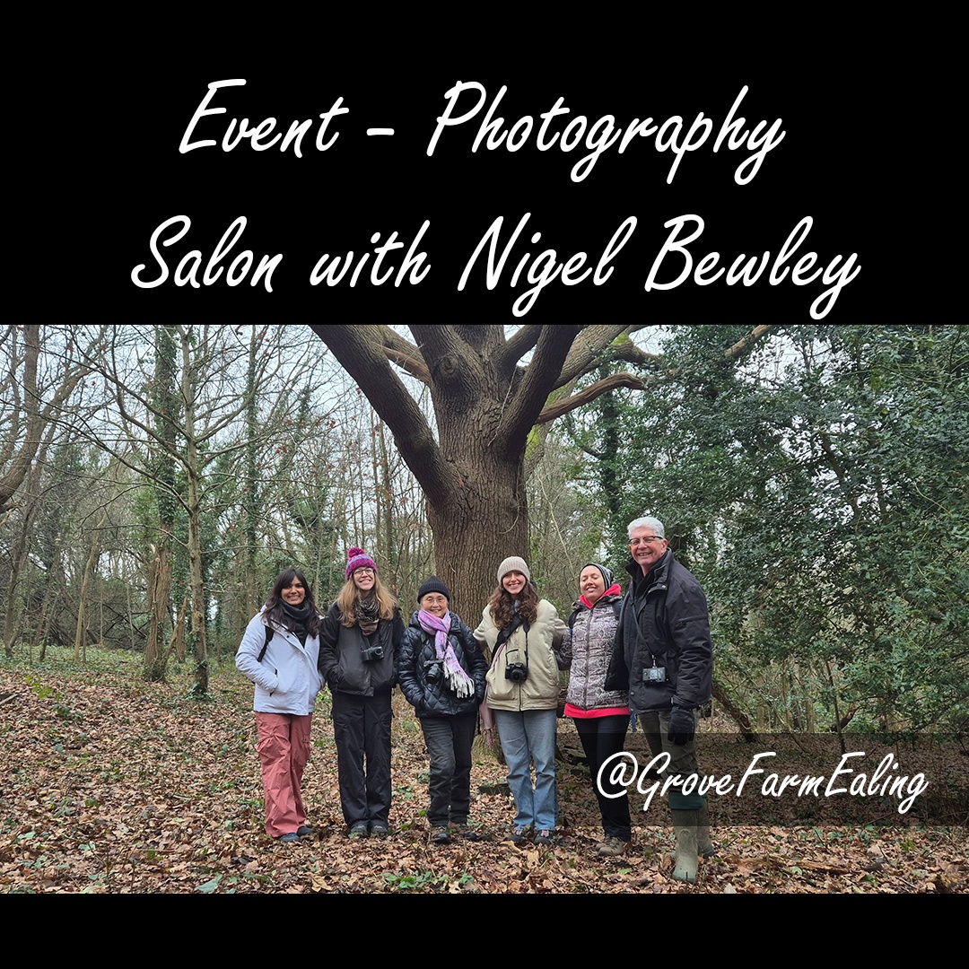GroveFarmEaling's tweet photo. ๐ธ Winter Photography Adventure at Grove Farm! ๐ฟโ๏ธ Learning landscape techniques with @NigelBewley, capturing winter's magic from macro details to delicate scenes. ๐ Upcoming sessions can be found on our eventbrite site.
#NaturePhotography #ExploreNature #friendsofgrovefarm https://t.co/wbYE5RYjIC
