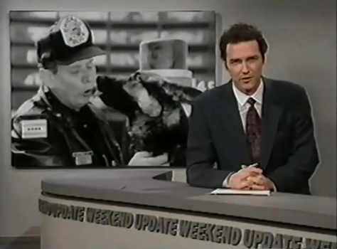Last year, German Shepherds were rated the nation's most effective police dogs by far. Sniffing out more than one hundred million dollars worth of illegal drugs.

1/6
