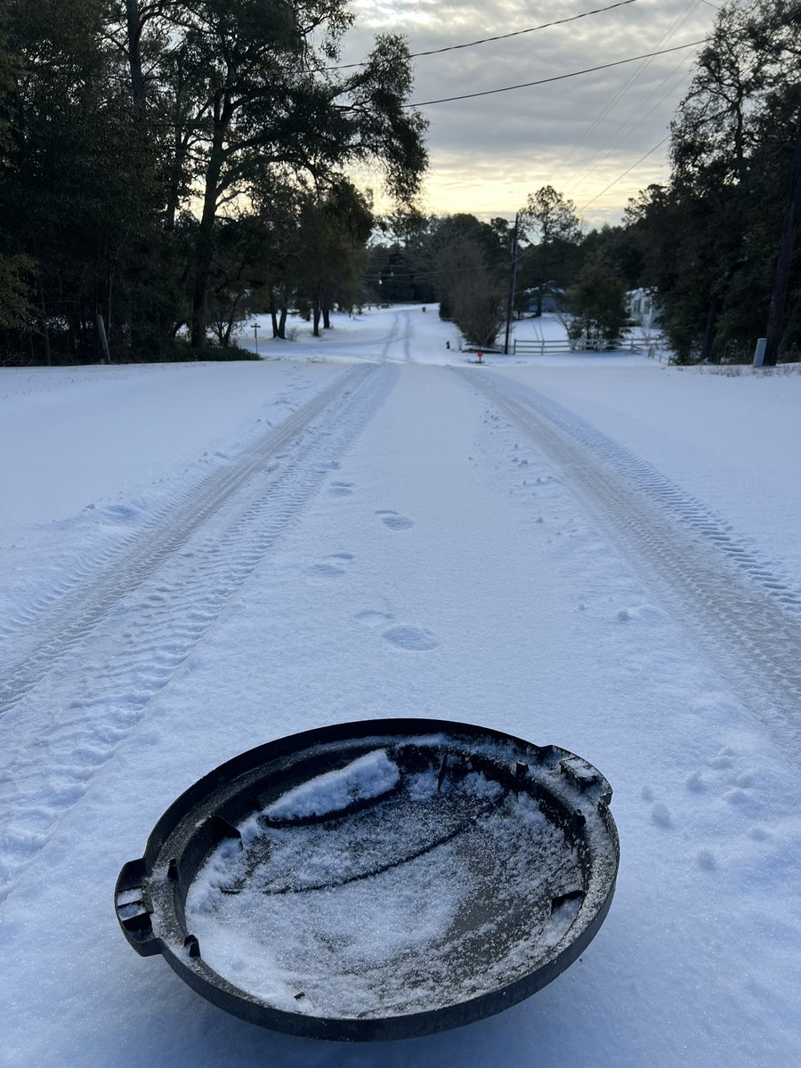 Theodore Hamby tweet media