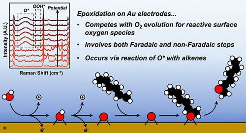Flaherty_Catalysis (@flaherty_lab) on Twitter photo Curious about how alkenes epoxidize on electrodes? Our new Open Access <a href="/J_A_C_S/">J. Am. Chem. Soc.</a> paper demonstrates that alkenes react with O*, derived from electrochemical H2O activation, on Au anodes to form epoxides. Check it out here: doi.org/10.1021/jacs.4… Curious about how alkenes epoxidize on electrodes? Our new Open Access <a href="/J_A_C_S/">J. Am. Chem. Soc.</a> paper demonstrates that alkenes react with O*, derived from electrochemical H2O activation, on Au anodes to form epoxides. Check it out here: doi.org/10.1021/jacs.4…