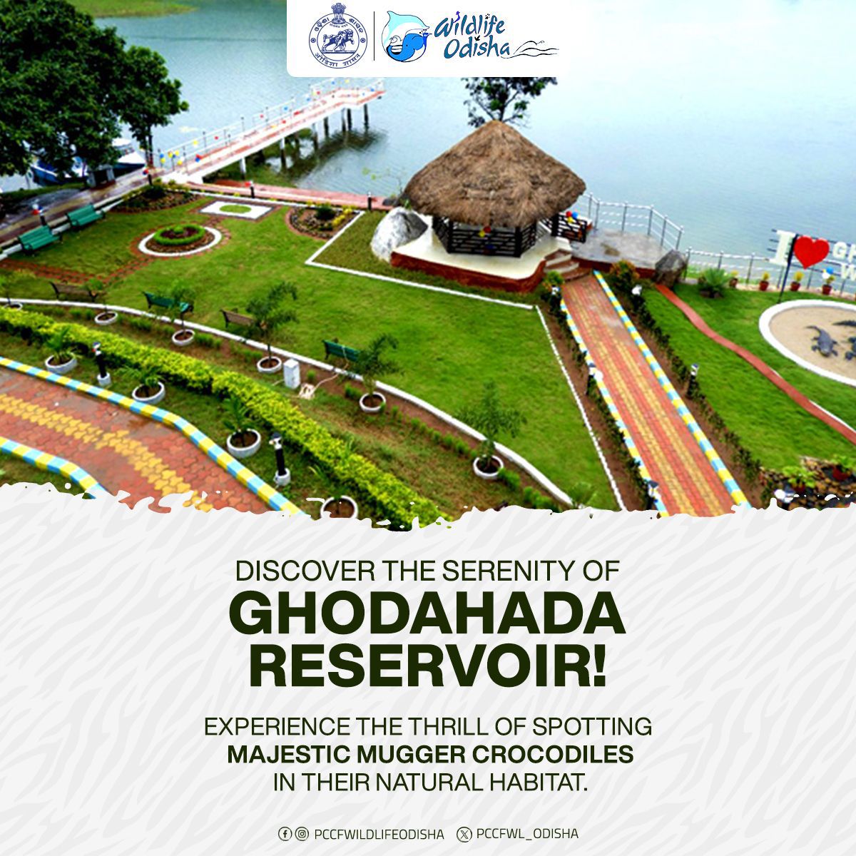 "Escape to #GhodahadaNatureCamp!

Discover the serene Ghodahada reservoir &amp; majestic Mugger Crocodiles
Luxuriate in comfort with modern amenities &amp; delicious meals
Explore nearby Ujjaleswar Temple, Balakumari Temple &amp; Taptapani Hot Springs

Book now at ecotourodisha.com